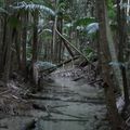 Australie-Fraser island