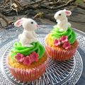 Cupcakes Lapin