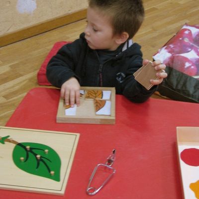 Les feuilles mortes se ramassent à la pelle.