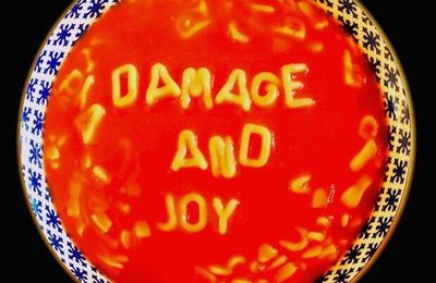 "Damage and Joy" de The Jesus and Mary Chain :peu de dommages et encore moins de joie !