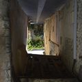 elles sont là..... mises sous nos yeux pour notre ravissement