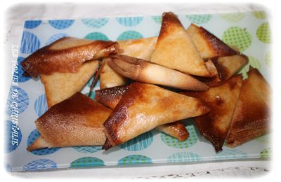 Samoussas rillettes de poulet