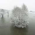 Neige sur la Loire