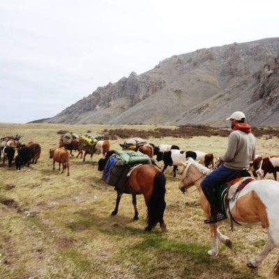 Transhumance dans le Hovsgol - Juin 2014