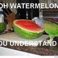 Oh watermelon