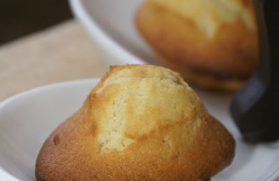 MADELEINES AU CITRON