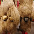 Carnaval des Cloches à Nogent-le-Roi avec les Kurents de Slovanie