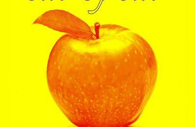 Nouveau single d'Adan & Ilse : Sin Of Sin (Adan version) 