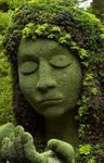 La Nature nous fait du Bien