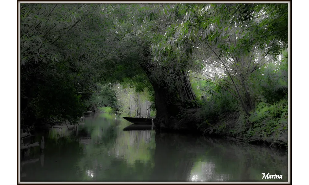 - MARAIS POITEVIN