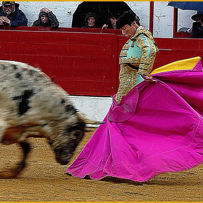 CHRISTIAN PAREJO IMPACTE AIGNAN Y TOROS 20 AVRIL 2025