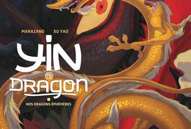 Pêle-mêle séries en BD : Yin et le dragon - Spill Zone - Aliénor Mandragore