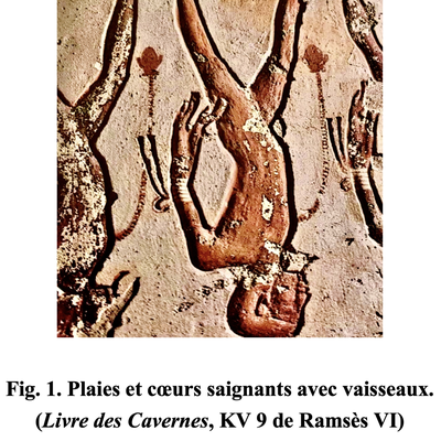 Anatomie égyptienne des vaisseaux Ⓐ