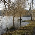 Pêche au banc