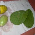 Nopal Miam miam ! 