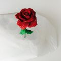 La rose de la Belle et la bête 