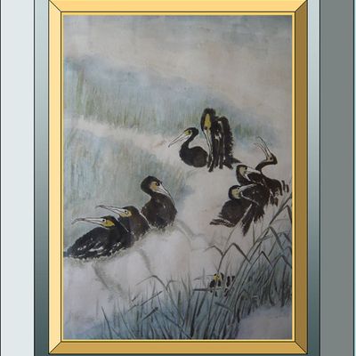 Cormorans dans la brume