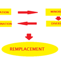 Diversitudes et grand remplacement