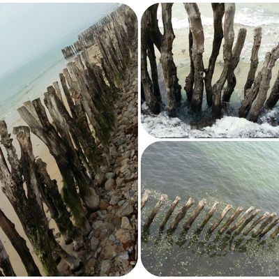 Escapade estivale à St Malo....