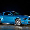 La Ford Mustang Shelby GT500 édition Cobra, juste pour Carroll! (CPA)