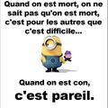 Citation des minions