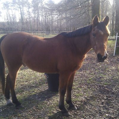 Comme un sou neuf ! 26.01.2013