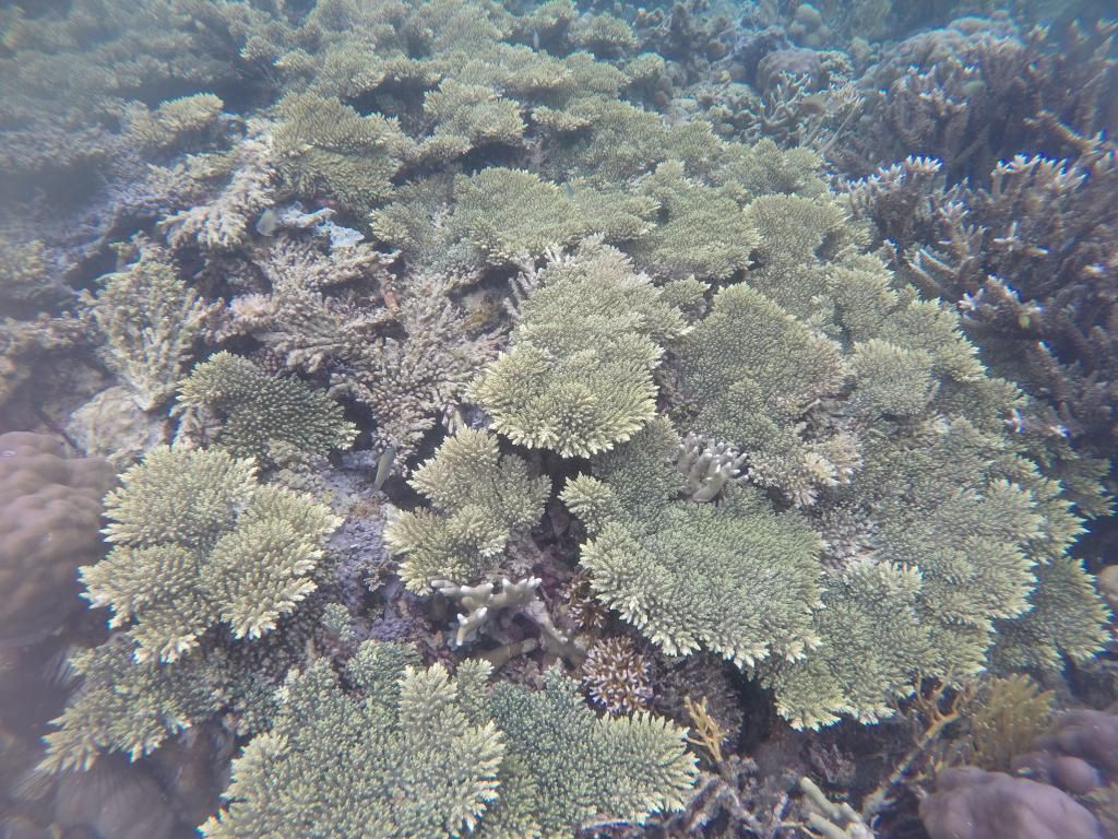 GOPR0892