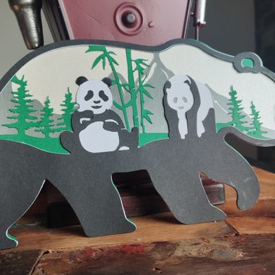 des pandas tout mignon