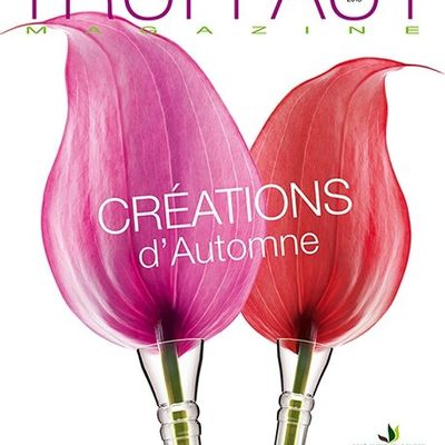 L'ÉTÉ EST VITE PASSÉ... RESTONS POSITIFS !