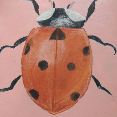 LES COCCINELLES (craies sanguines, pierre noire et peinture)