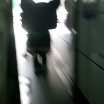 L'éternel retour...