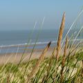 La mer du Nord à Bredene.