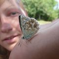 France/Rhône-Alpes/Ain - Une journée à Crozet