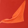 C20-140 Foulard orange