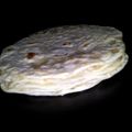 Galettes tortillas mexicaine fait maison