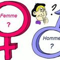 Le genre c'est soit féminin, soit masculin... comme en grammaire ? 