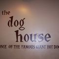 The dog house