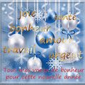 Bonne et heureuse année 2015 amis de la