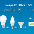 5 AMPOULES LED GRATUITES / 25 LED à 1€