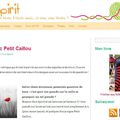 J'ai été interviewée par Knit Spirit !