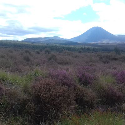 Turangi et la Alpine Crossing 
