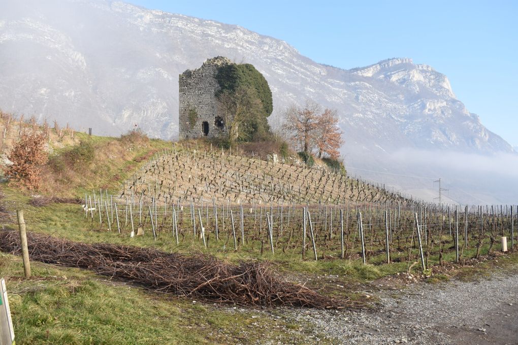 Balade dans les vignes de Chignin (73)