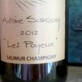 Champagne Egly-Ouriet : Grand Cru Tradition et Saumur Champigny : Antoine Sanzay : Les Poyeux 2012