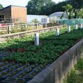 Album photo du jardin des lucioles