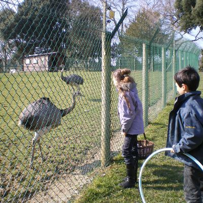 parc animalier de Dinard