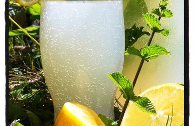 # 267 - Lemon mint ou Citronade à la menthe de Magalie