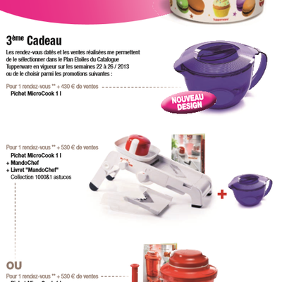 cadeaux hotesses et invités de juin 2013 en exclusivité