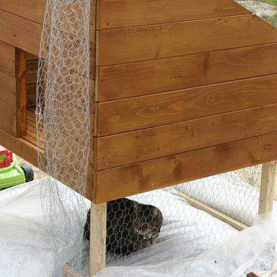 Pendant que le poulailler avance: 23/04/13: