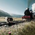 Innovation dans le Far West ferroviaire normand: le "Tue-vaques" Paris-Cherbourg sera relié par réseau GSM...