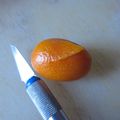 Poisson en kumquat